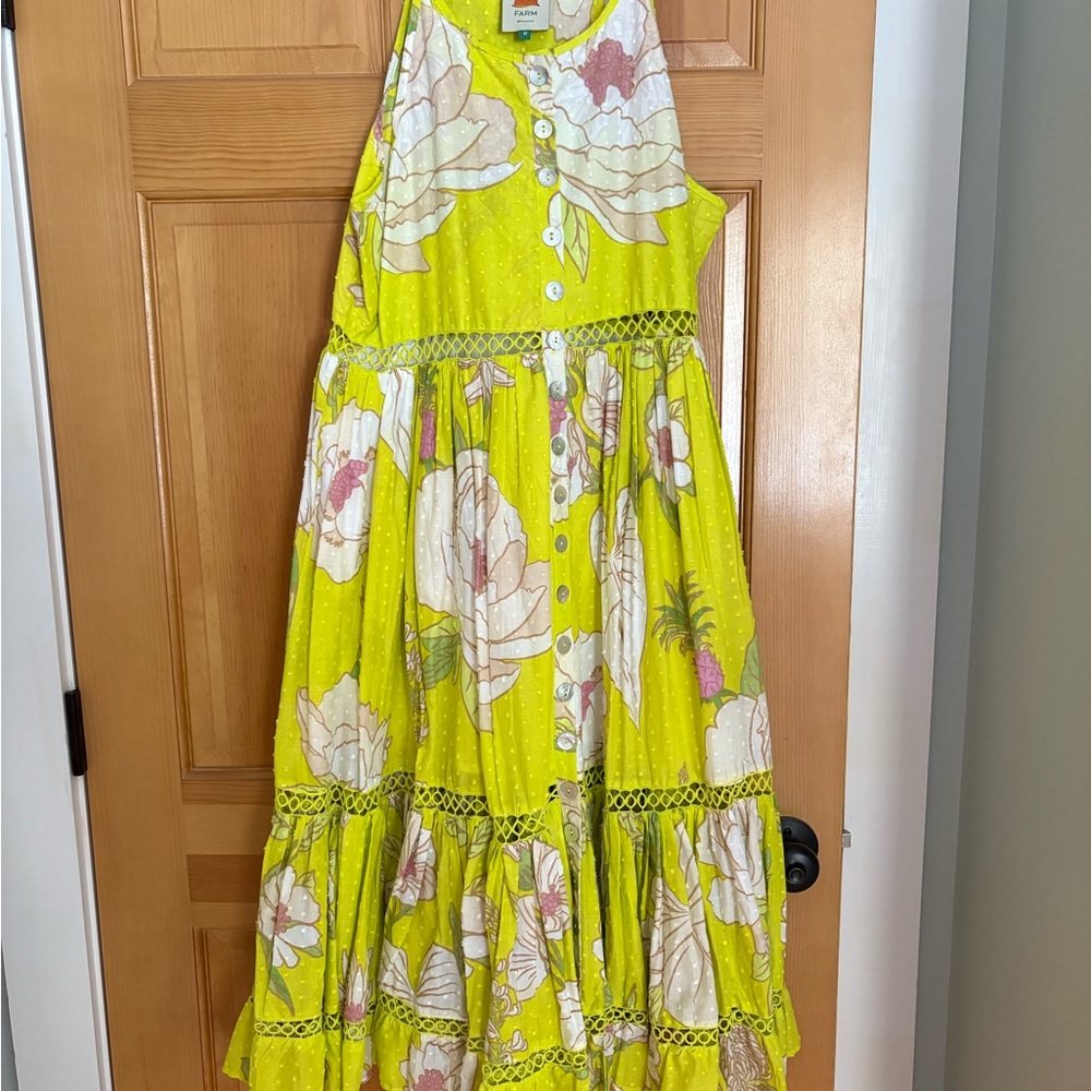 Farm Rio women’s dress